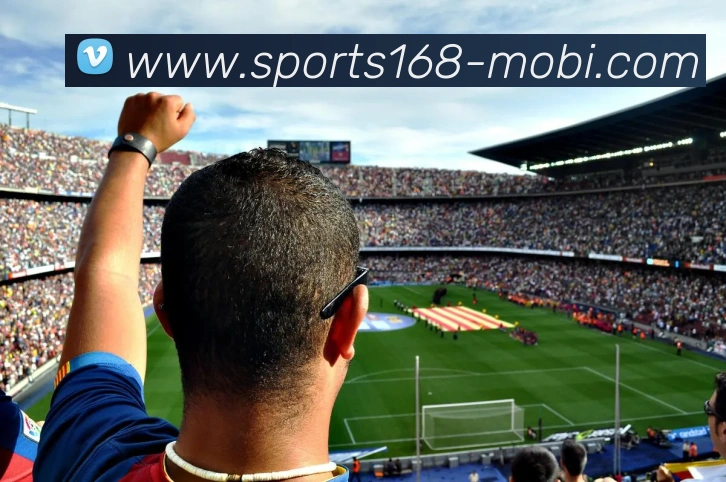 168体育APP 封面图